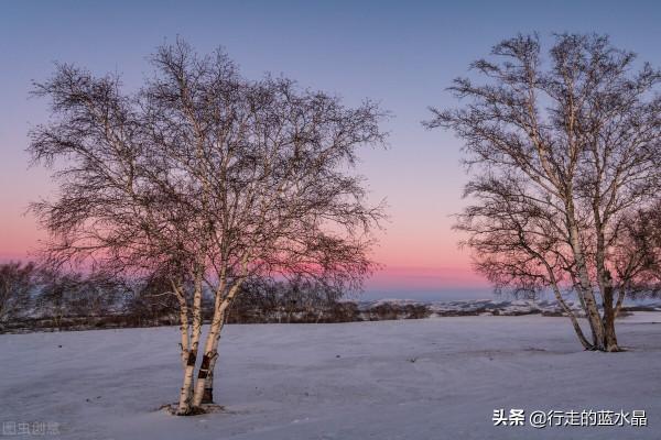 烏蘭布統的冰雪美景正當時!多年自駕經驗,送您超實用玩雪大攻略 烏蘭布統的冰雪美景正當時!多年自駕經驗,送您超實用玩雪大攻略