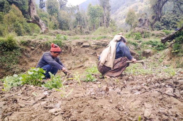 為什麼有這麼多人痴迷於去尼泊爾爬山？
