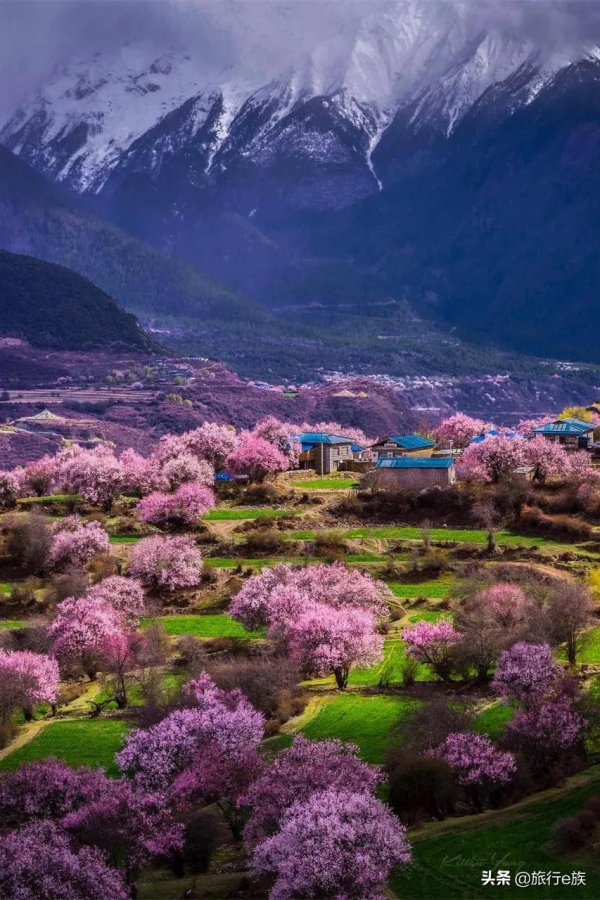 等一個人,陪我去西藏 等一個人,陪我去西藏