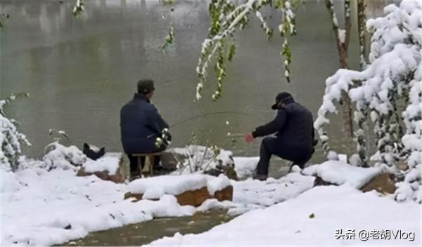 冬釣時碰到了這兩種天氣，大板鯽超級多，錯過就是遺憾