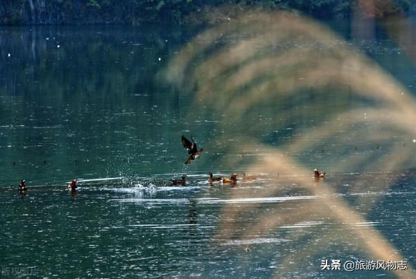 盤點甘肅的10個湖泊,一個比一個風景秀美,你去過嗎? 盤點甘肅的10個湖泊,一個比一個風景秀美,你去過嗎?