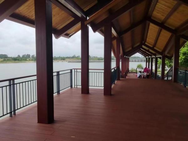 孤獨時與文字聊天