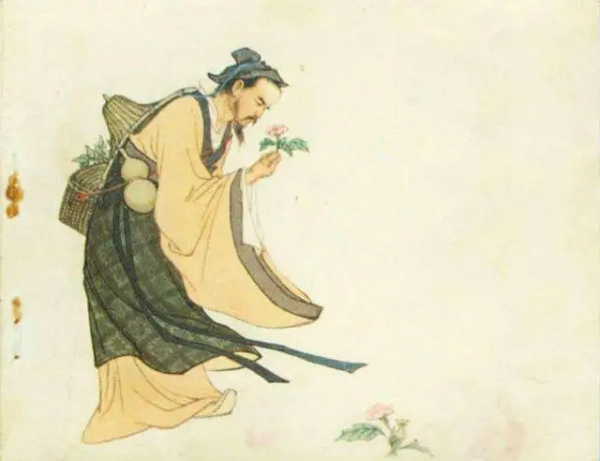 華佗再造丸：國家一級保密處方，古方瑰寶