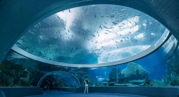 大海里全是水,海底隧道是如何修建完成的呢?網友:真的不容易 大海里全是水,海底隧道是如何修建完成的呢?網友:真的不容易