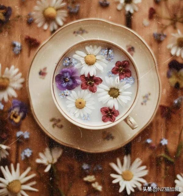 財富故事:打點小算盤,跟著財神走錢賺錢 財富故事:打點小算盤,跟著財神走錢賺錢