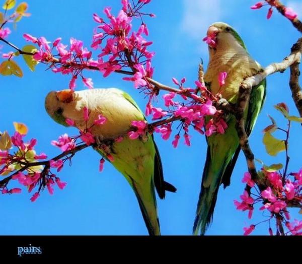 點亮愛的翅膀，帶著你一路飛翔，旅途有你，便是天堂