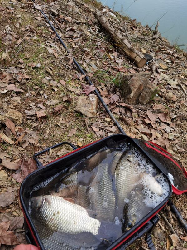 官莊水庫野釣爆護之旅,看看大師如何使用者實踐來證明 官莊水庫野釣爆護之旅,看看大師如何使用者實踐來證明