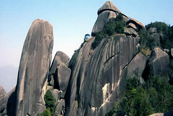 浙江又一景區走紅,幾百年的母子樟樹,距衢州市只有30公里 浙江又一景區走紅,幾百年的母子樟樹,距衢州市只有30公里