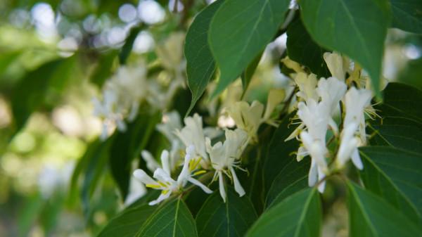 法學學科最好的十所大學