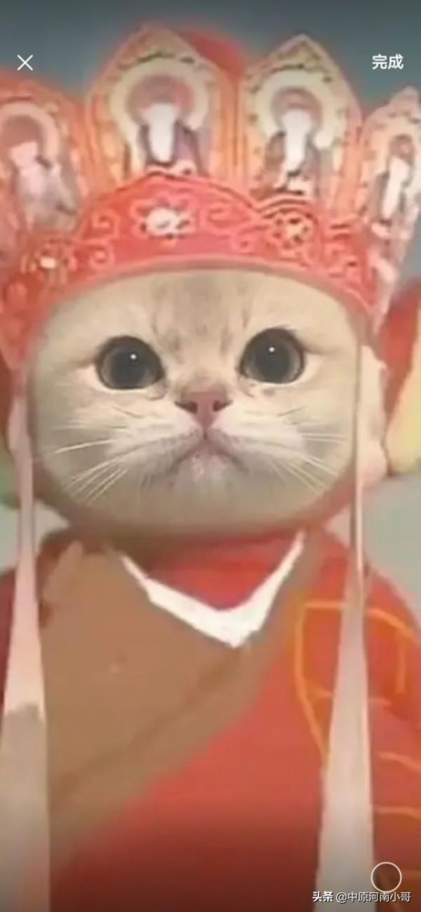 為什麼覺得華為手機貴