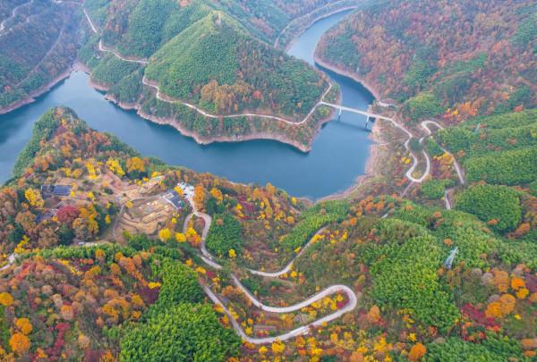 堵車、堵車、堵車，這個古村憑什麼讓遊客步行三公里入村？