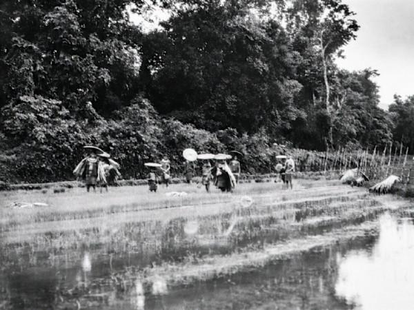 薛嶽晚年哀嘆：我在海南島有10萬大軍，可全瓊200萬人跟我作對