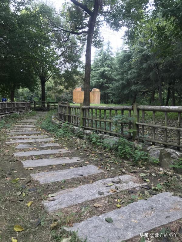 看祖國好風光：泗陽城市生態客廳