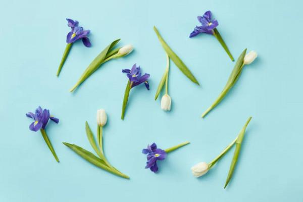 夜讀 | 那些幸福感極強的人,都有這些特徵 夜讀 | 那些幸福感極強的人,都有這些特徵