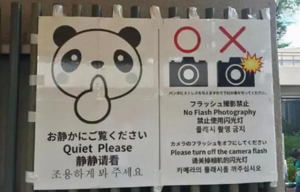 日本街頭的奇葩中文翻譯！中國人看完摸不著頭腦，也難住了日本人