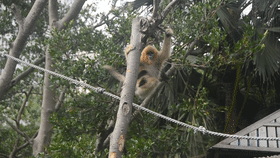 我的“啤酒肚”就是瘦不下來