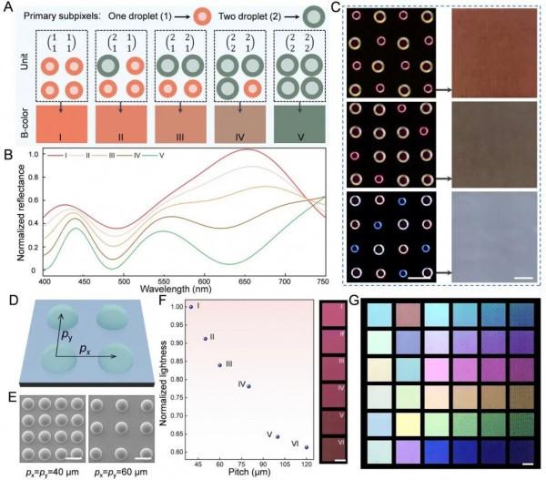 結構色新突破:一種透明墨水實現全綵影象列印 結構色新突破:一種透明墨水實現全綵影象列印
