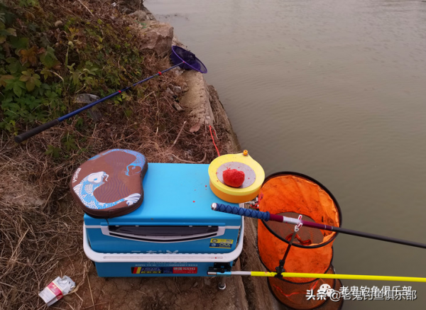 野戰之王擒獲鯉鯽，成雙成對