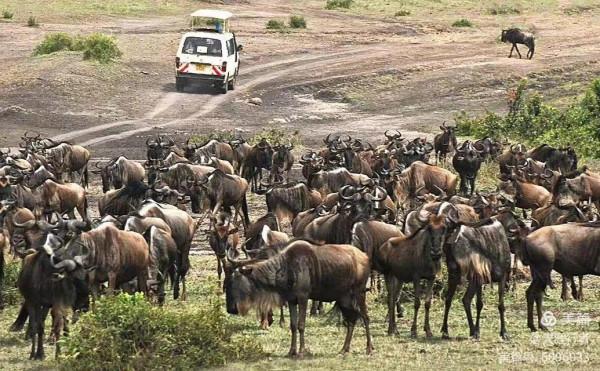非洲之行的記憶碎片 非洲之行的記憶碎片