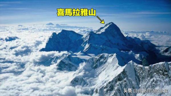 液體貓咪之謎：為什麼說貓都是液體？這竟然是被證明過的科學結論