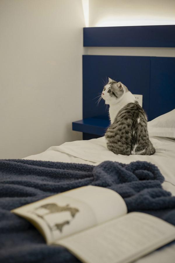 95後的超現代生活