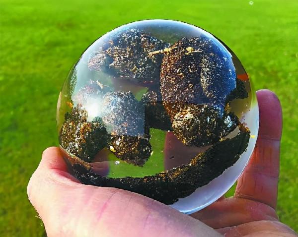 英國有座“便便博物館” 英國有座“便便博物館”