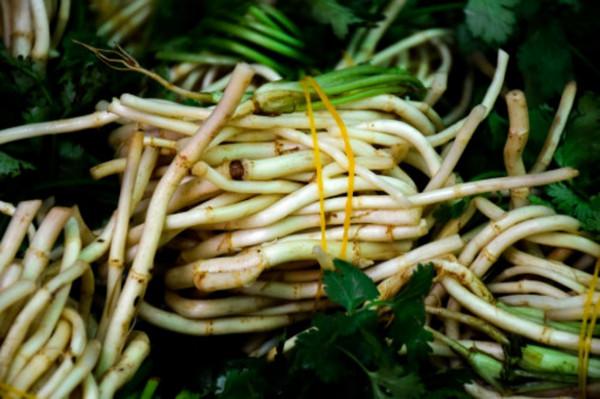 魚腥草致癌？食用這些蔬菜也要注意