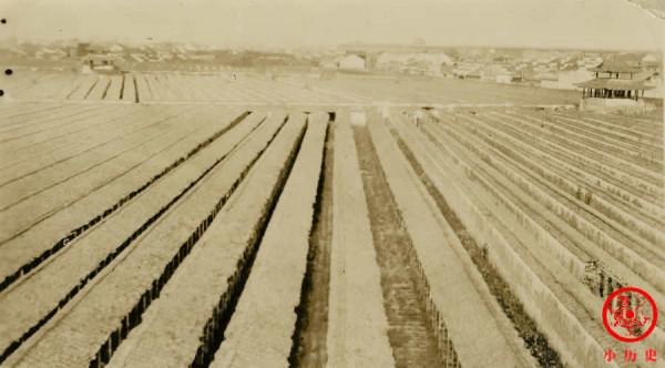 晚清老照片再現考舉人的情景，考生扛著行李進場，9天9夜不能出門