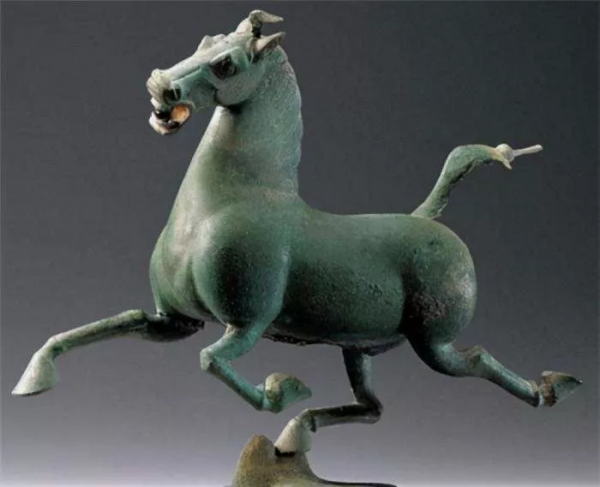 未解之謎：為什麼動物們不愛拍正臉？