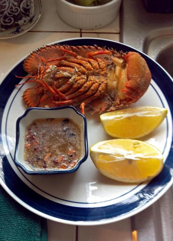 並不是所有好吃的龍蝦都叫波士頓 並不是所有好吃的龍蝦都叫波士頓