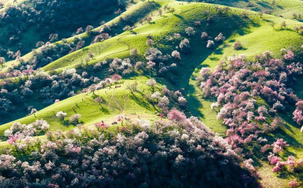 超出你想象的空中草原