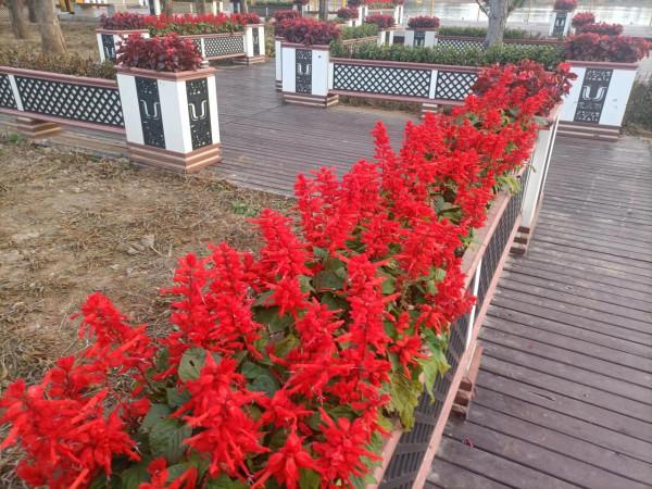 南飛大雁書人字，墜地紅葉燃相思。望穿秋水競無義，萬解楓