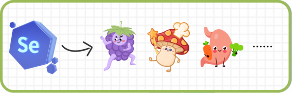 腫瘤患者必不可少的6種營養素，這麼吃才能補回來