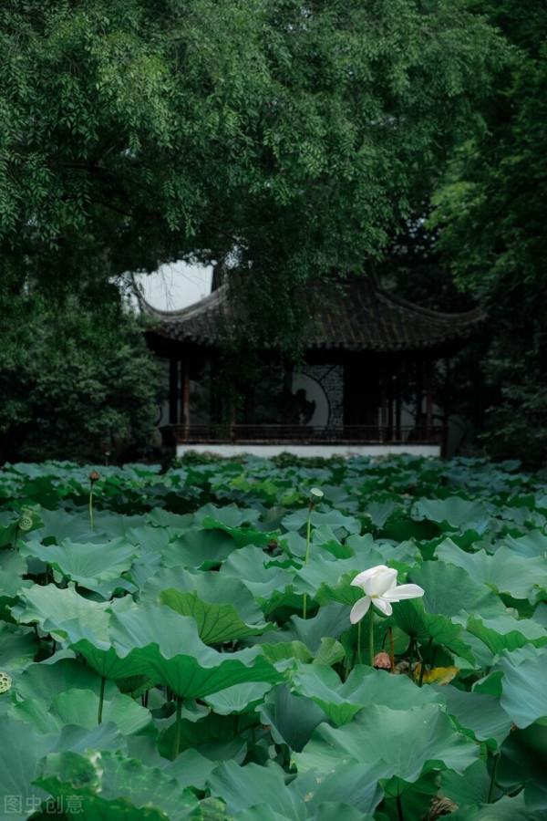 來來來，沒去旅行不要緊！看完這些圖，你已走遍中國最美之地