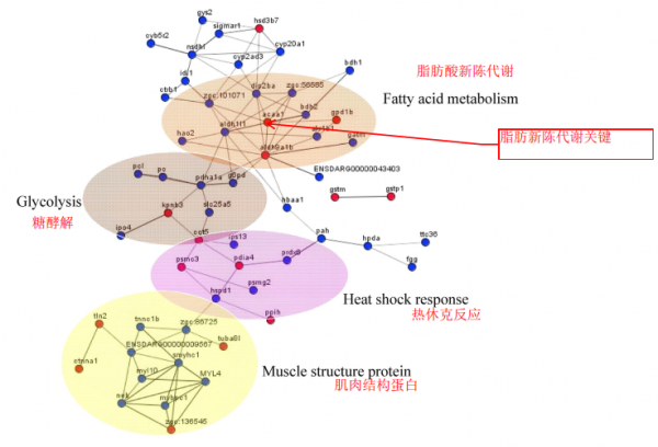 脆肉鯇魚，脆肉羅非，蠶豆脆化的機理和危害