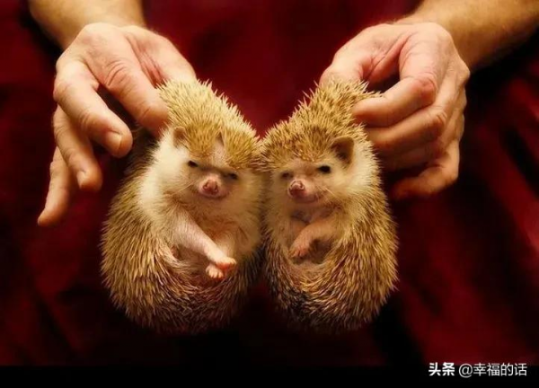 地球上的天堂美景