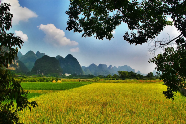 11月去哪裡賞秋?6個人少景美的旅行地,正是你要出發的方向 11月去哪裡賞秋?6個人少景美的旅行地,正是你要出發的方向