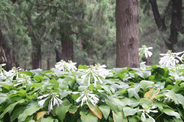 計程車司機筆記