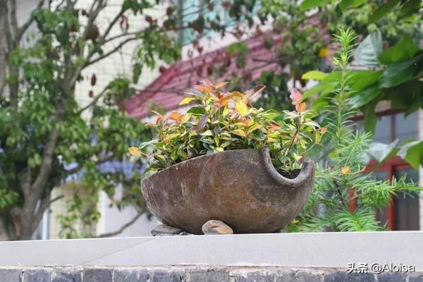 美麗鄉村舊物改造乾貨-舊物改、造新村 美麗鄉村舊物改造乾貨-舊物改、造新村