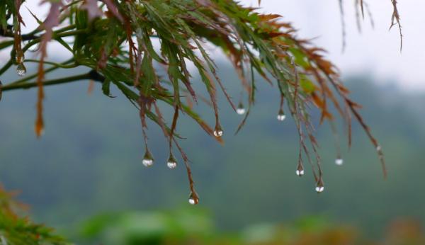 俗話說“有沾沒沾,就看8月13”啥意思?為何八月十三如此重要? 俗話說“有沾沒沾,就看8月13”啥意思?為何八月十三如此重要?