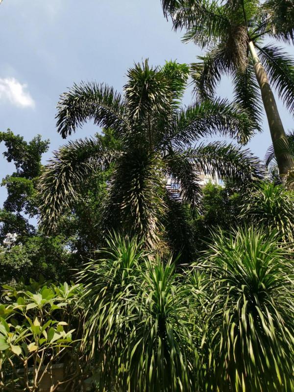 人類生命的起源探討 人類生命的起源探討