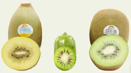 小冬瓜西瓜捲心菜……迷你蔬果的來歷你都瞭解嗎? 小冬瓜西瓜捲心菜……迷你蔬果的來歷你都瞭解嗎?