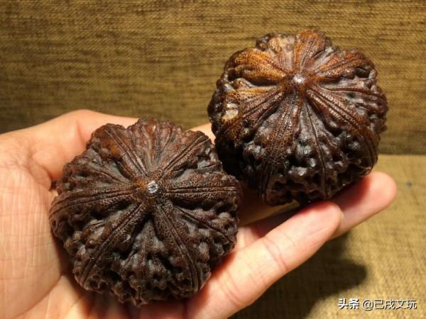 今年很火的這種手串一般人見不到，也買不到，太稀缺了