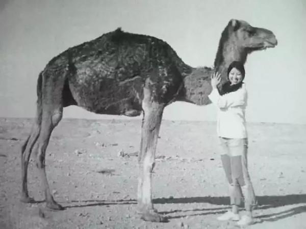 三毛自殺之謎:用絲襪上吊前,最後一個電話她打給了誰? 三毛自殺之謎:用絲襪上吊前,最後一個電話她打給了誰?