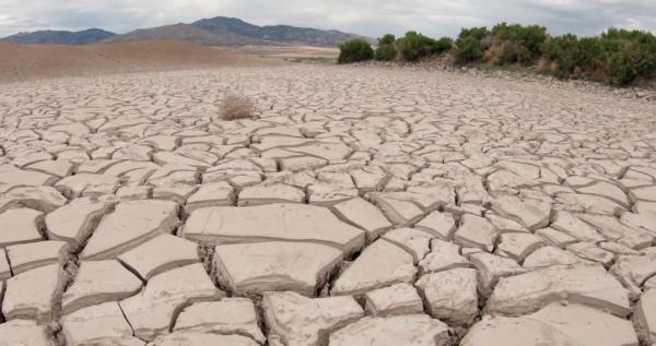 地球上的森林面積增加1倍後會發生什麼？人類將難以承受後果