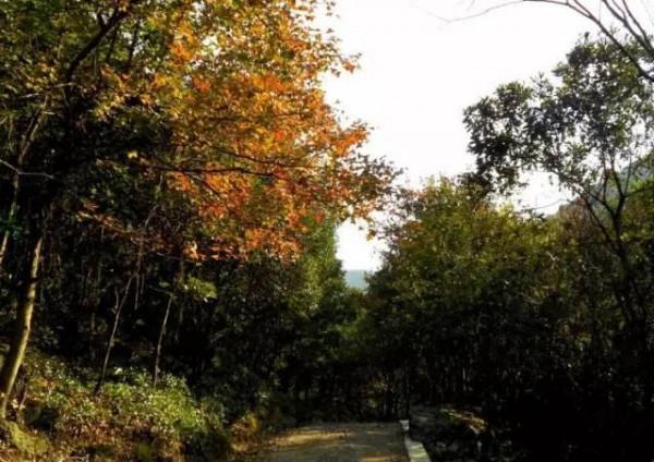 浙江十大冷門景點，人少景美好玩