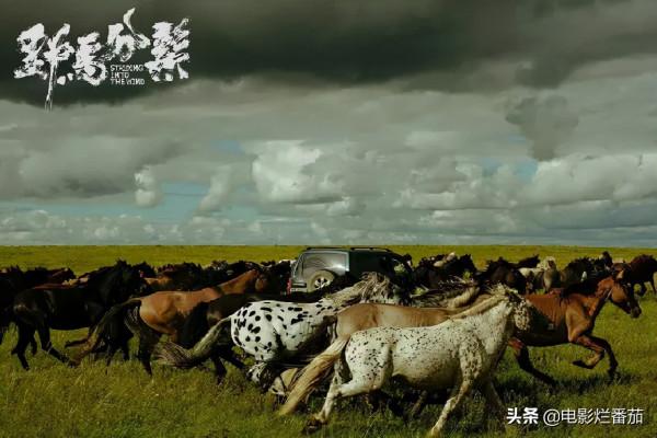 十一月片單,張涵予、範偉二人組帥炸,我看好巨石強森的新片 十一月片單,張涵予、範偉二人組帥炸,我看好巨石強森的新片