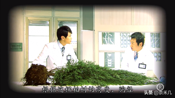 “天眼少女”堪稱童年陰影,TVB《法證先鋒3》根據真實案件改編 “天眼少女”堪稱童年陰影,TVB《法證先鋒3》根據真實案件改編