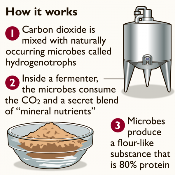 科學家已經開始研究吃自己,人造肉黑科技到底還要多瘋狂? 科學家已經開始研究吃自己,人造肉黑科技到底還要多瘋狂?