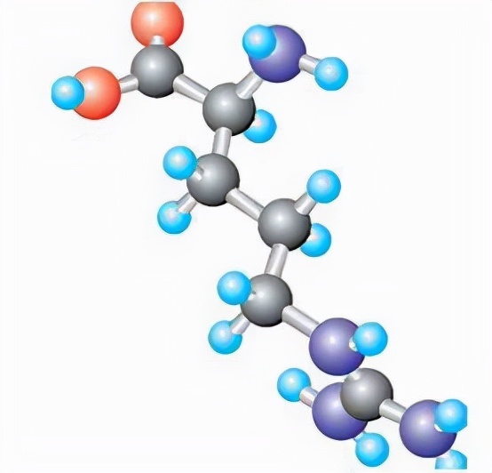 生命科學——參透蛋白質的奧秘 生命科學——參透蛋白質的奧秘